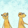 meerkats