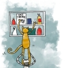 the search